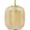 imageCreative CoOp Embossed Glass Shade Lamp with Brass Accents Clear and Gold PendantAmber
