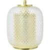 imageCreative CoOp Embossed Glass Shade Lamp with Brass Accents Clear and Gold PendantClear