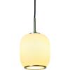 imageCreative CoOp Embossed Glass Shade Lamp with Brass Accents Clear and Gold PendantOpaque White