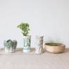 imageCreative CoOp Embossed Stoneware Cabbage Planter with Reactive Glaze Green