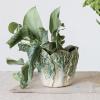 imageCreative CoOp Embossed Stoneware Cabbage Planter with Reactive Glaze Green