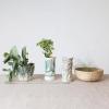 imageCreative CoOp Embossed Stoneware Cabbage Planter with Reactive Glaze Green