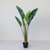 imageCreative CoOp Faux Banana Tree in Plastic Pot Green