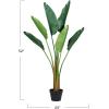 imageCreative CoOp Faux Banana Tree in Plastic Pot Green