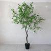 imageCreative CoOp Faux Birch Tree in Plastic Pot Green