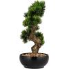 imageCreative CoOp Faux Bonsai Tree in Plastic Pot with Pebbles Green