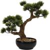 imageCreative CoOp Faux Bonsai Tree in Plastic Pot with Pebbles Green
