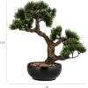 imageCreative CoOp Faux Bonsai Tree in Plastic Pot with Pebbles Green