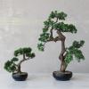 imageCreative CoOp Faux Bonsai Tree in Plastic Pot with Pebbles Green