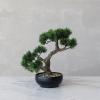 imageCreative CoOp Faux Bonsai Tree in Plastic Pot with Pebbles Green
