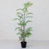 imageCreative CoOp Faux Fern Tree in Plastic Pot Green