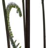 imageCreative CoOp Faux Fern Tree in Plastic Pot Green