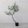 imageCreative CoOp Faux Olive Tree in Plastic Pot Green