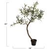 imageCreative CoOp Faux Olive Tree in Plastic Pot Green