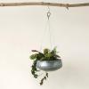 imageCreative CoOp Grey ampamp Gold Hanging Iron Planter1125 Round