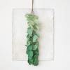 imageCreative CoOp HandPainted Paper Mache Eucalyptus Bunch Wall Hanging Green