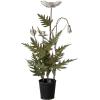 imageCreative CoOp Metal Poppy Flower Candle Holder in Cement Pot Distressed White and Green
