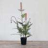 imageCreative CoOp Metal Poppy Flower Candle Holder in Cement Pot Distressed White and Green