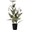 imageCreative CoOp Metal Poppy Flower Candle Holder in Cement Pot Distressed White and Green