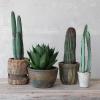 imageCreative CoOp Round Faux Euphorbia Cactus in Cement Pot with Pebbles Green