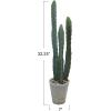 imageCreative CoOp Round Faux Euphorbia Cactus in Cement Pot with Pebbles Green