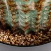 imageCreative CoOp Round Faux Vatricania Cactus in Plastic Pot Green