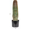 imageCreative CoOp Round Faux Vatricania Cactus in Plastic Pot Green