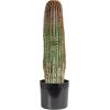 imageCreative CoOp Round Faux Vatricania Cactus in Plastic Pot Green