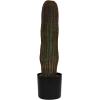 imageCreative CoOp Round Faux Vatricania Cactus in Plastic Pot Green
