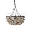 imageCreative CoOp Round Oyster Shell Chandelier with 2 Lights1Tier