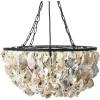 imageCreative CoOp Round Oyster Shell Chandelier with 2 Lights1Tier