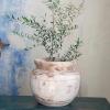 imageCreative CoOp Round Paulownia Wood Planter Natural