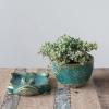 imageCreative CoOp Stoneware Planter with Frog Saucer Base Holds 5quot Pot Reactive Glaze Green Each One Will Vary