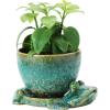 imageCreative CoOp Stoneware Planter with Frog Saucer Base Holds 5quot Pot Reactive Glaze Green Each One Will Vary