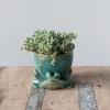 imageCreative CoOp Stoneware Planter with Frog Saucer Base Holds 5quot Pot Reactive Glaze Green Each One Will Vary