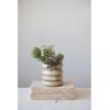 imageCreative CoOp Stoneware Planter with Saucer