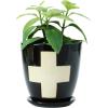 imageCreative CoOp Stoneware Planter with Saucer ampamp Wax Relief White Swiss Cross Black Set of 2 Holds 4quot Pot Each One Will Vary