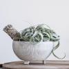 imageSmall Distressed Cream Footed Terracotta Planter with Fluted Texture