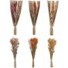 imageCreative CoOp Dried Natural Bunny Tail Grass Bunch Multicolor Set of 3