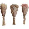 imageCreative CoOp Dried Natural Powderpuff Grass Bunch Multicolor Set of 3