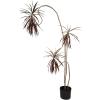 imageCreative CoOp Faux Dracaena Tree in Plastic Pot Natural
