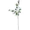 imageCreative CoOp Faux Eucalyptus Branch