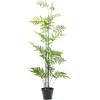 imageCreative CoOp Faux Fern Tree in Plastic Pot Green
