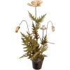 imageCreative CoOp Metal Poppy Flower Candle Holder in Cement Pot Distressed White and Green