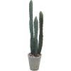 imageCreative CoOp Round Faux Euphorbia Cactus in Cement Pot with Pebbles Green