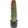 imageCreative CoOp Round Faux Vatricania Cactus in Plastic Pot Green