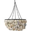 imageCreative CoOp Round Oyster Shell Chandelier with 2 Lights1Tier