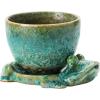 imageCreative CoOp Stoneware Planter with Frog Saucer Base Holds 5quot Pot Reactive Glaze Green Each One Will Vary