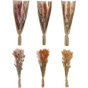 imageCreative CoOp Dried Natural Bunny Tail Grass Bunch Multicolor Set of 3