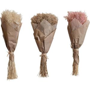 imageCreative CoOp Dried Natural Powderpuff Grass Bunch Multicolor Set of 3